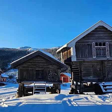 Sjoaasen Dom wakacyjny Hjartdal