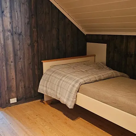 Sjoaasen Dom wakacyjny Hjartdal