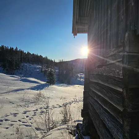 Sjoaasen Hjartdal