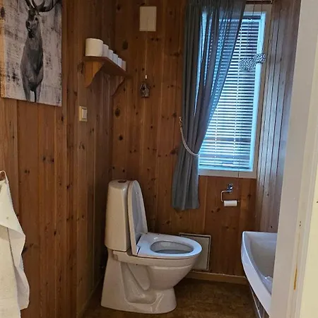 Sjoaasen Hjartdal