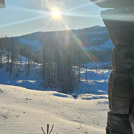Sjoaasen Hjartdal
